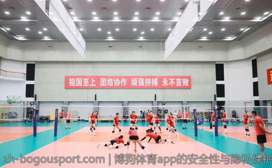 博狗体育app的安全性与隐私保护措施
